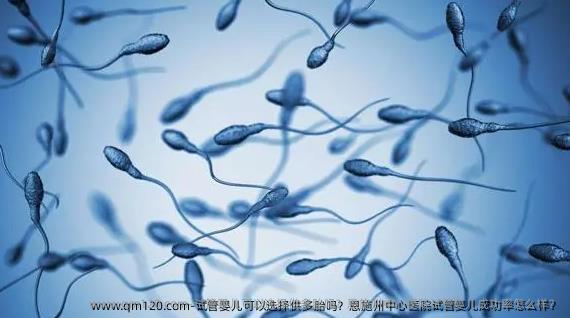 试管婴儿可以选择供多胎吗？恩施州中心医院试管婴儿成功率怎么样？