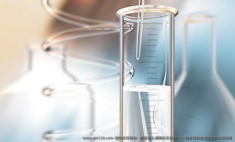 廊坊医保揭秘：试管婴儿费用能否报销？——探索辅助生殖技术的医保**