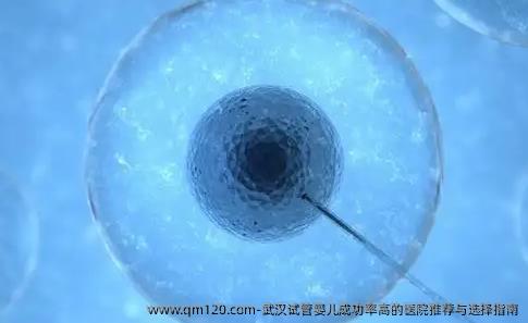 武汉试管婴儿成功率高的医院推荐与选择指南