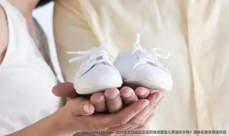2025年北部战区总医院做试管婴儿需要多少钱?具体花费在哪些项目