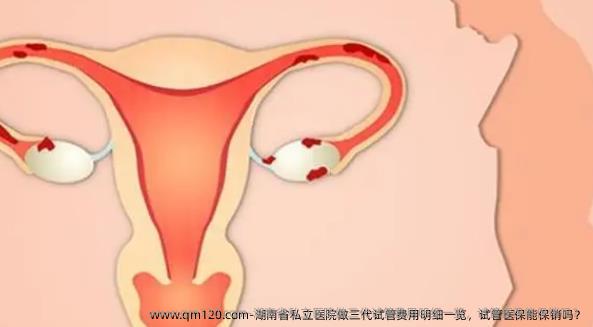 湖南省私立医院做三代试管费用明细一览，试管医保能保销吗？