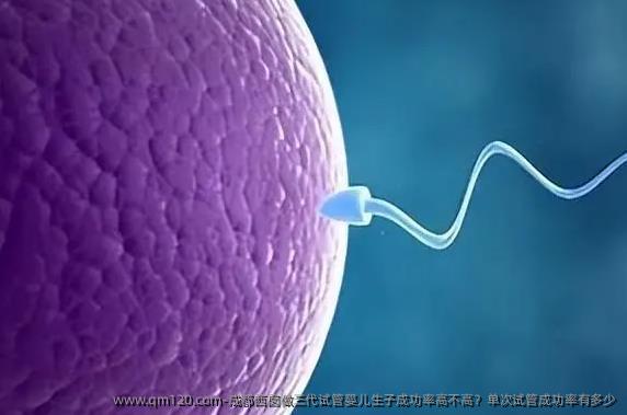 成都西囡做三代试管婴儿生子成功率高不高？单次试管成功率有多少
