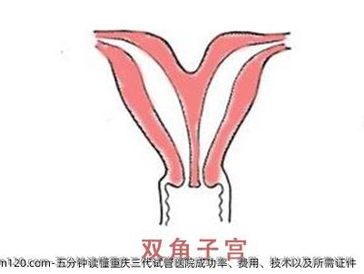 五分钟读懂重庆三代试管医院成功率、费用、技术以及所需<em>证件</em>