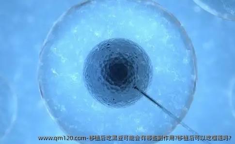 移植后吃黑豆可能会有哪些副作用?移植后可以吃榴莲吗?