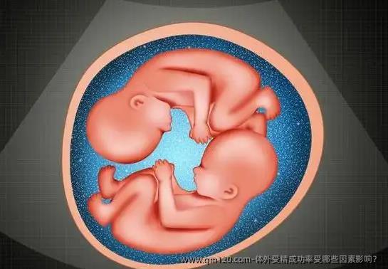 体外受精成功率受哪些因素影响？