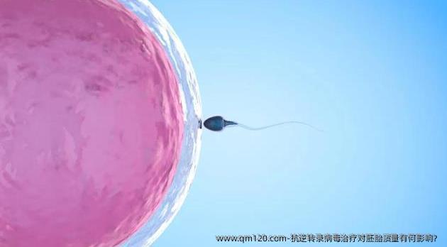 抗逆转录病毒治疗对胚胎质量有何影响？