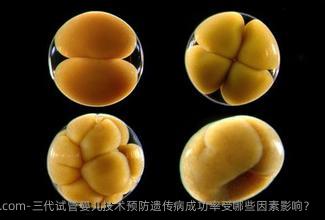 三代试管婴儿技术预防遗传病成功率受哪些因素影响？