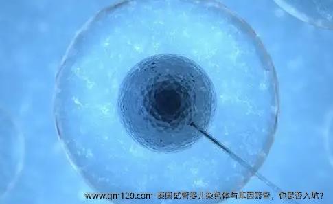 泰国试管婴儿染色体与基因筛查，你是否入坑？