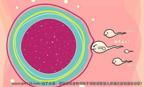 除了水果，还有哪些食物有助于预防试管婴儿卵巢过度刺激综合征?