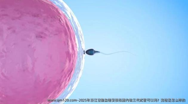 2025年浙江空腹血糖受损在国内做三代试管可以吗？流程是怎么样的