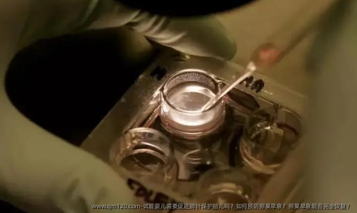 试管婴儿需要促进肺针保护胎儿吗？如何预防卵巢早衰？卵巢早衰能否完全恢复？
