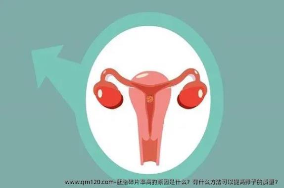胚胎碎片率高的原因是什么？有什么方法可以提高卵子的质量？
