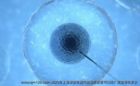 2025年上海单身在国内做三代试管可以吗？成功率有多少