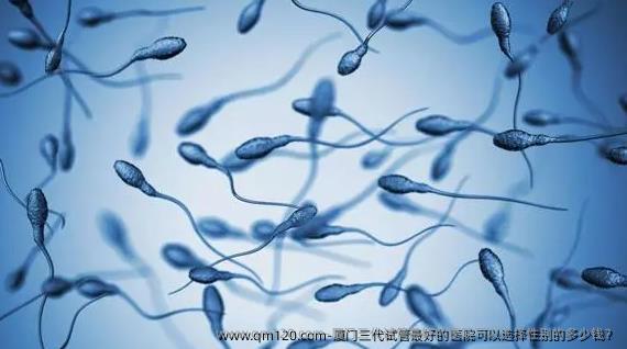 厦门三代试管较好的医院可以选择**的多少钱？