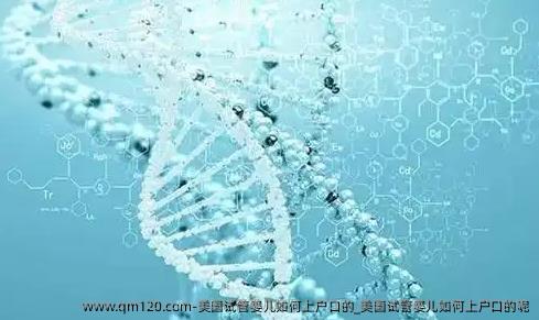 美国试管婴儿如何上户口的_美国试管婴儿如何上户口的呢