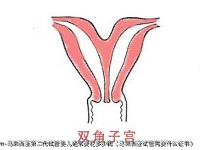 马来西亚第二代试管婴儿通常要花多少钱（马来西亚试管需要什么证书）