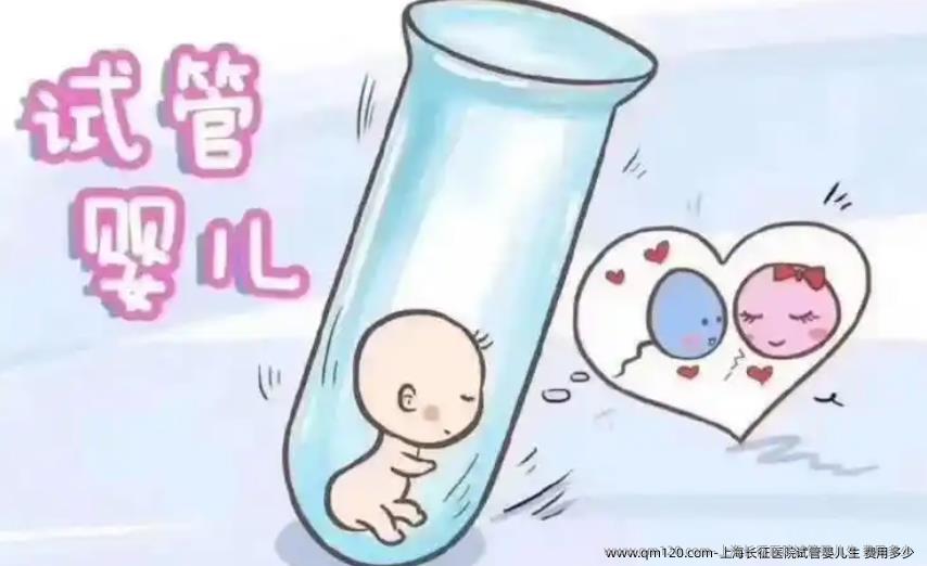 上海长征医院试管婴儿生 费用多少 
