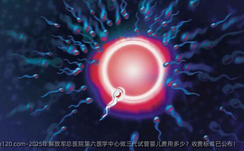 2025年解放军总医院第六医学中心做三代试管婴儿费用多少？收费标准已公布！