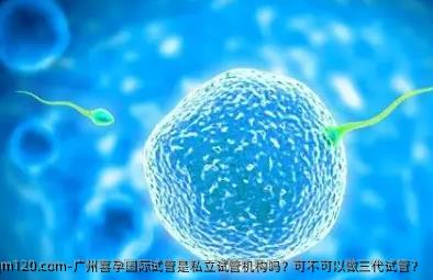 广州喜孕国际试管是私立试管机构吗？可不可以做<a href=