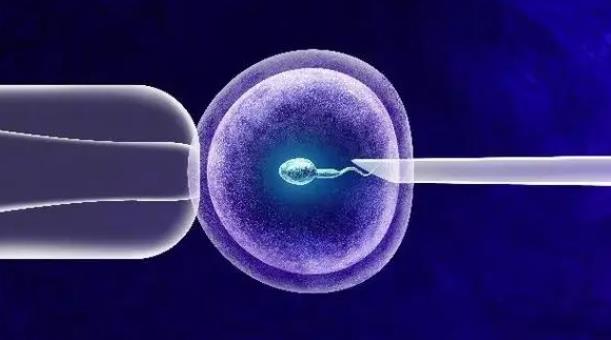 2025年延边妇产医院做试管婴儿需要多少钱？具体花费在哪些项目