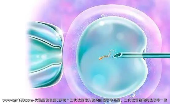 为您解答泰国CEF哪个三代<a href=