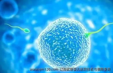 辽阳试管婴儿医院排名与费用查询