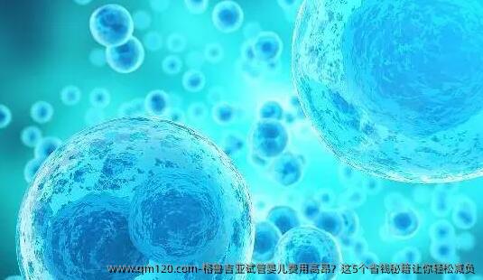 格鲁吉亚试管婴儿费用高昂？这5个省钱秘籍让你轻松减负
