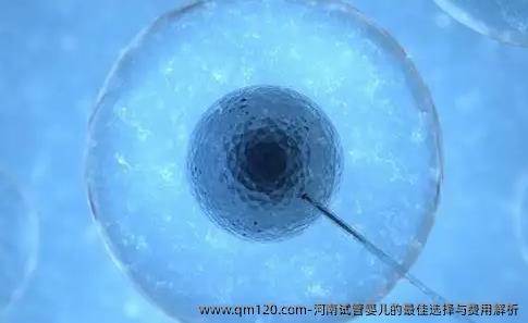 河南试管婴儿的较好选择与费用解析