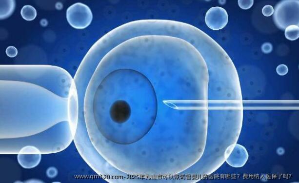 2025年乳山市可以做试管婴儿的医院有哪些?费用纳入医保了吗?