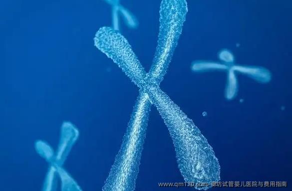廊坊<a href=
