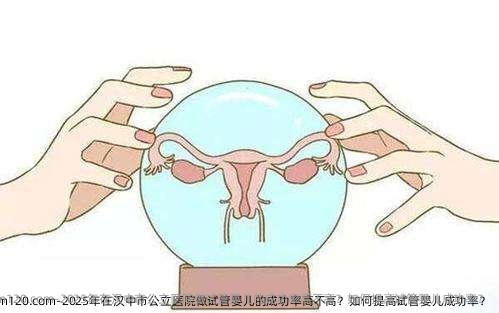 2025年在汉中市公立医院做试管婴儿的成功率高不高？如何提高试管婴儿成功率？