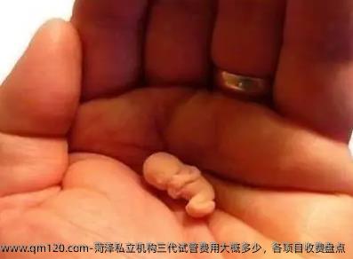 菏泽私立机构三代试管费用大概多少，各项目收费盘点