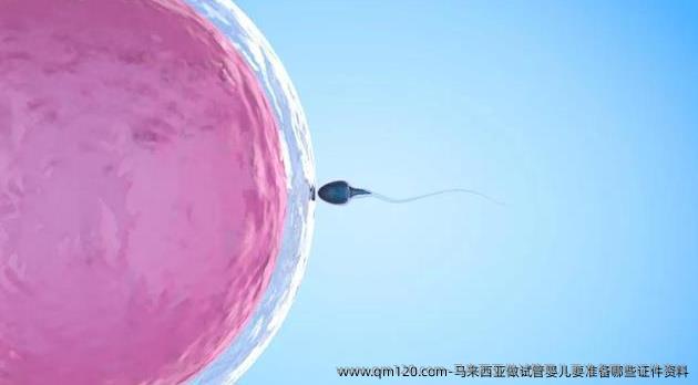 马来西亚做试管婴儿要准备哪些证件资料