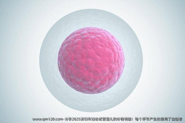 分享2025深圳市妇幼试管婴儿的价格明细！每个环节产生的费用了如指掌