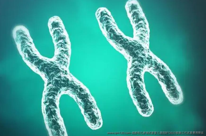 成都有几家做<a href=