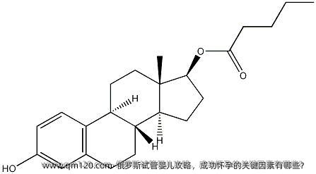 俄罗斯试管婴儿攻略，成功怀孕的关键因素有哪些？ 