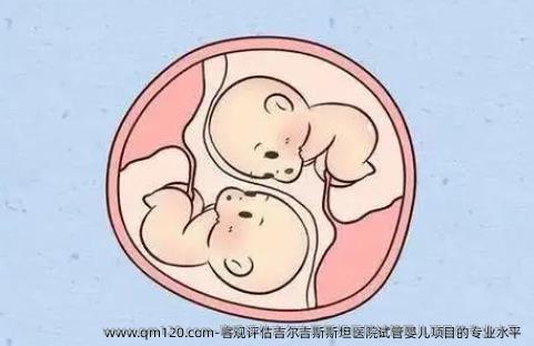 客观评估吉尔吉斯斯坦医院试管婴儿项目的专业水平 