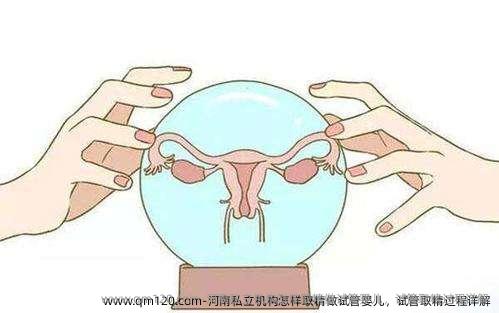河南机构怎样取精做试管婴儿，试管取精过程详解