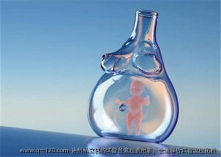 徐州机构试管各流程费用表,全面解析试管流程花费