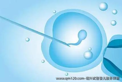 绍兴试管婴儿服务详解，试管婴儿到底应该怎么做？