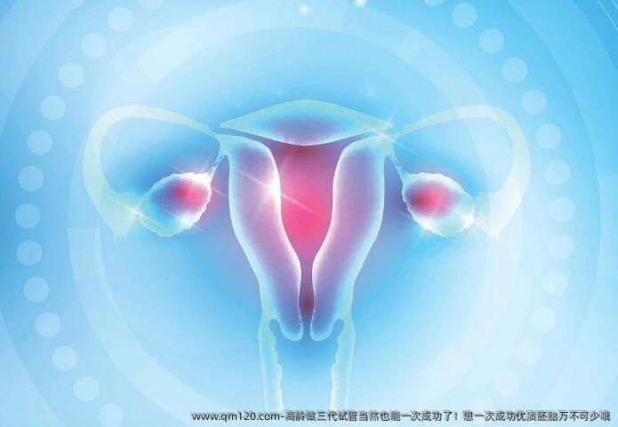 高龄做三代试管当然也能初次成功了！想初次成功优质胚胎万不可少哦