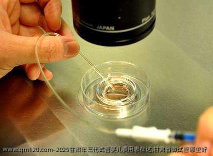 2025甘肃年三代试管婴儿费用表在这,甘肃省做试管哪里好