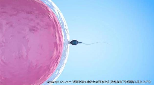 试管单身未婚怎么办理准生证,我单身做了试管婴儿怎么上户口