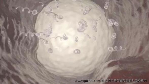 婴儿30天黄疸值对照表?如何使用