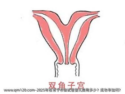 2025年在常宁市做试管婴儿费用多少？成功率如何？