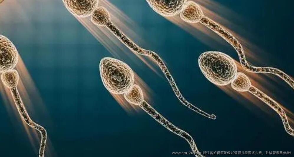 浙江省妇保医院做试管婴儿需要多少钱,附试管费用参考!