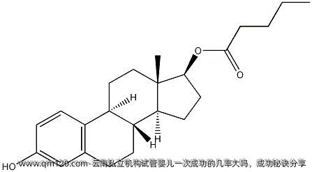 云南机构试管婴儿初次成功的几率大吗，成功秘诀分享