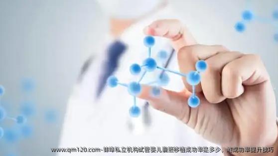 蚌埠机构试管婴儿囊胚移植成功率是多少，附成功率提升技巧
