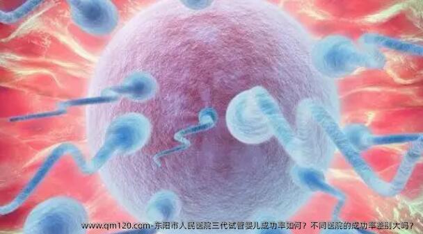 东阳市人民医院三代试管婴儿成功率如何?不同医院的成功率差别大吗?