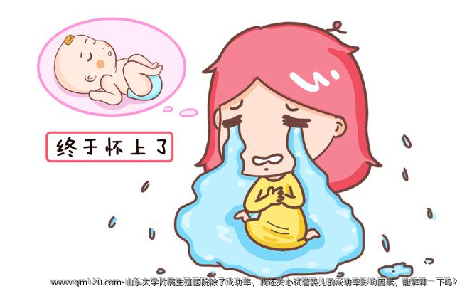 山东大学附属生殖医院除了成功率，我还关心试管婴儿的成功率影响因素，能解释一下吗？